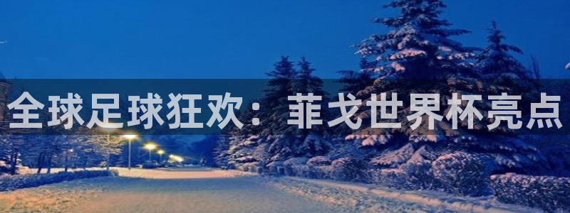 世界杯足球2026:全球足球狂欢:菲戈世界杯亮点