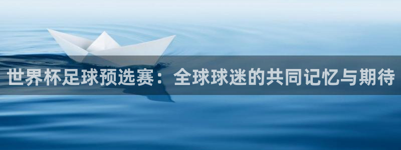 世预赛直播:世界杯足球预选赛:全球球迷的共同记忆与期待