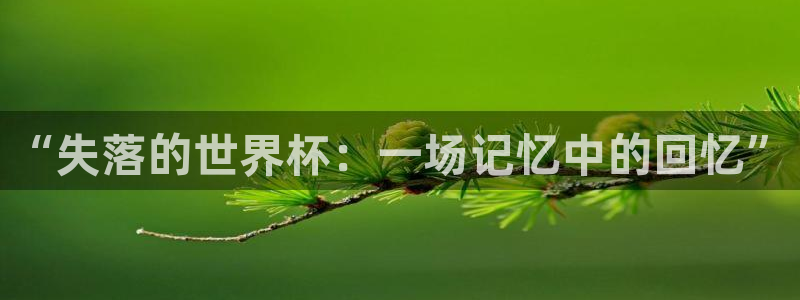 2026葡萄牙杯赛程表:“失落的世界杯:一场记忆中的回忆”