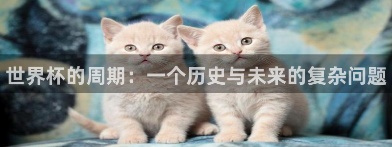 美洲杯直播:世界杯的周期:一个历史与未来的复杂问题