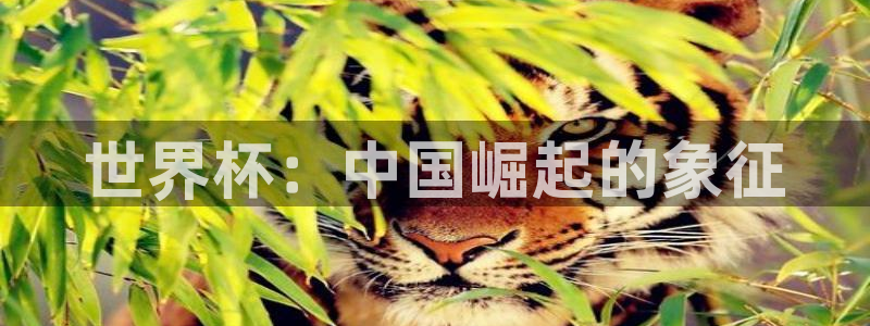 男足世界杯预选赛赛程:世界杯:中国崛起的象征