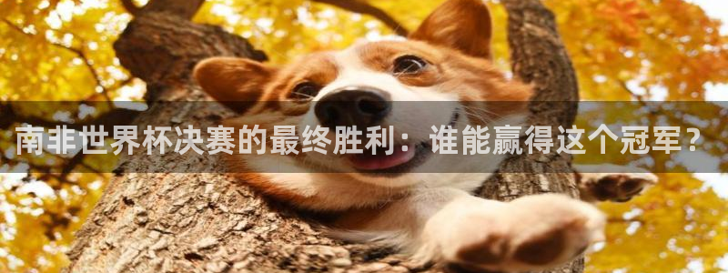 2026足球世界杯赛程时间表:南非世界杯决赛的最终胜利:谁能赢得这个冠军?