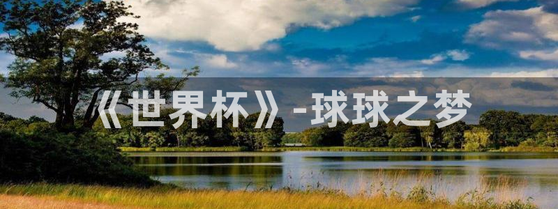 世界杯决赛圈球队:《世界杯》-球球之梦