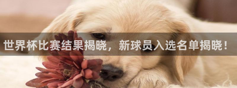女足世界杯赛程:世界杯比赛结果揭晓,新球员入选名单揭晓!