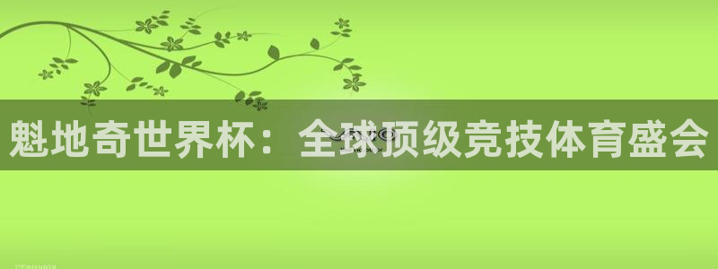 世界杯在线直播入口:魁地奇世界杯:全球顶级竞技体育盛会